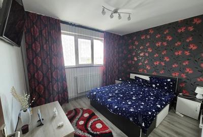 Apartament cu 2 camere semidecomandat, mobilat în Banat - 3