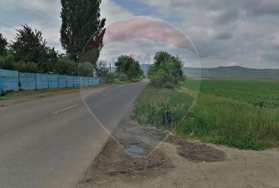 Teren Construcții intravilan de 10000 mp, în Est - 5