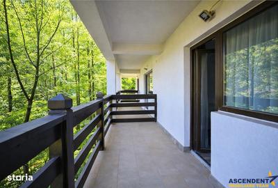 Spațiu comercial, de 1,200 mp, în Drumul Carului - 4