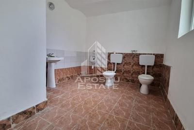 Spatiu Comercial Zona Parneava - 6