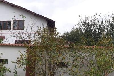 Casa Bolintin Vale - zona extrem de linistita, curte mare - 2