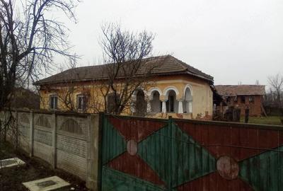 Casă cu Teren 4500 Mp în Rotunda - 6