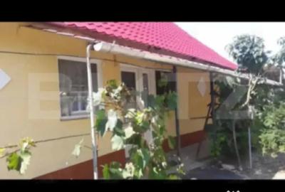 Casă cu 3 camere cu Teren 952 Mp în Paleu - 9