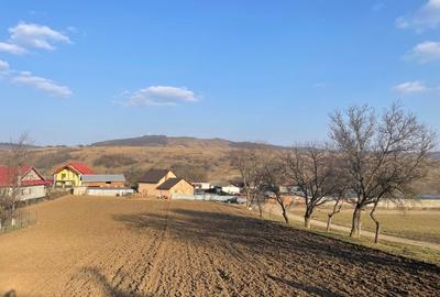 Teren Construcții intravilan de 5000 mp, în Sirețel - 13