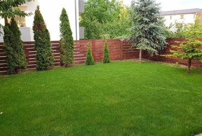 Triplex cod 160434 tel 0731226666 Triplex cod 160434 tel 0731226666 - 13