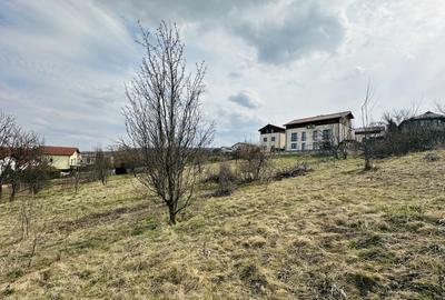 Teren Construcții intravilan de 655 mp, în Europa - 2