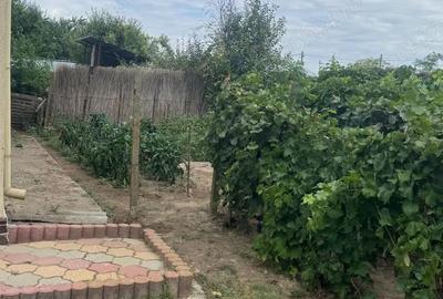 Casă cu 4 camere în Valea Nucarilor - 15