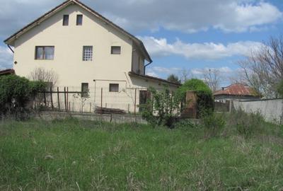 Cornetu - Lalelelor, Stradal - 3