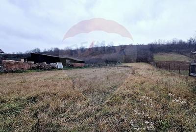 Casă cu 2 camere cu Teren 2443 Mp în Hidișelu de Sus - 6