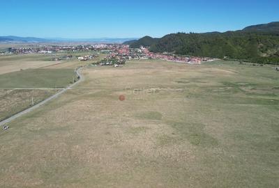 Teren extravilan Rasnov - 14