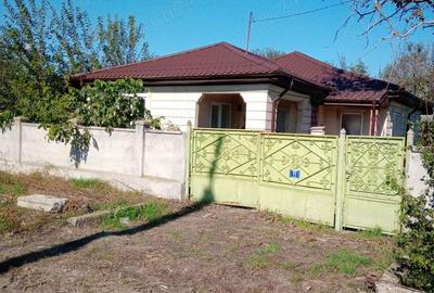 Casă cu 6 camere cu Teren 1100 Mp în Maluri - 9