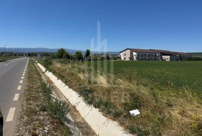 🌿 Teren 10.000 mp, Șura Mică – Ocna Sibiului | Investiție, COMISION 0% - 7