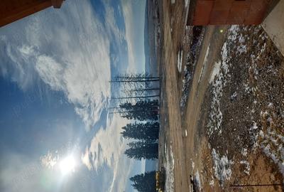 Case cuplate in Feleacu - 1