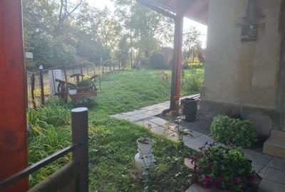 Casă cu 3 camere decomandat în Săbed - 4