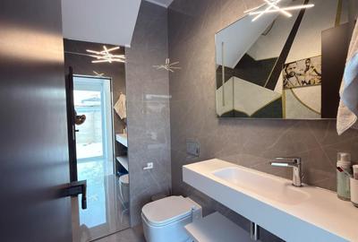 Casă cu 4 camere cu Canalizare în Theodor Pallady - 32