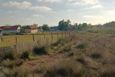 TL- Deltă / Sf. Gheorghe / intravilan - 1120 mp / 73500 € - 4