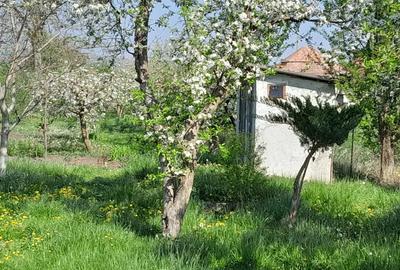 Casă cu 1 camere în Cistei - 6