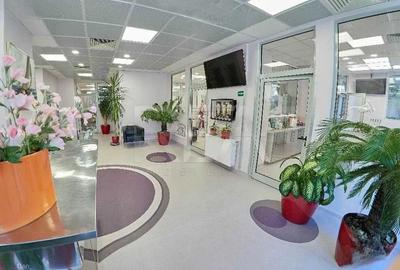 Spațiu comercial, de 224 mp, în Moșilor