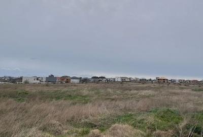 Teren investitie  Palazu Mare - 5
