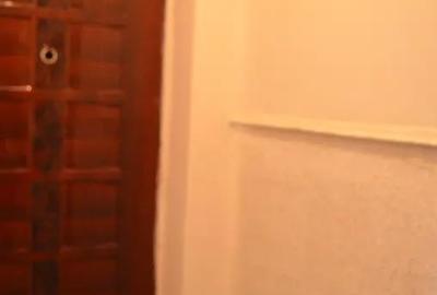 Apartament cu 2 camere semidecomandat în Cezar Petrescu - 6