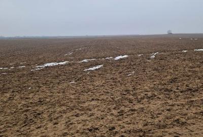 Teren de 2500 mp, în Malu Mare - 1