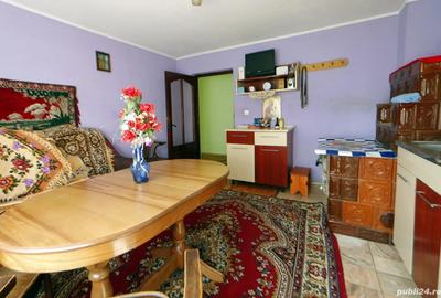 Casă cu Teren 8000 Mp în Trestia - 7