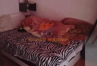 Apartament cu 2 camere nedecomandat în Trivale - 5