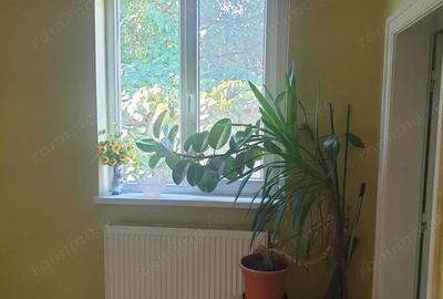 Casă cu 4 camere cu Teren 320 Mp în Dumbrăvița