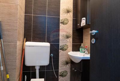 Apartament cu 3 camere semidecomandat, mobilat în Dobroești - 22