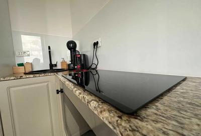 Apartament cu 2 camere decomandat în Gorjului