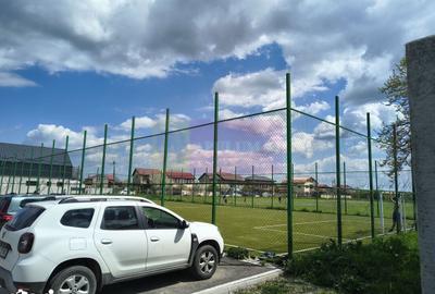 Teren de 12450 mp, în Cernica - 6