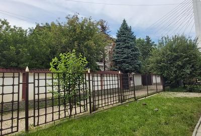 Padurea Baneasa, Aleea Teisani - 6