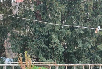 Apartament Central de vanzare Timi?oara - 1