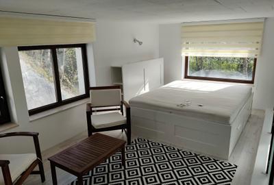 Spațiu comercial, în Gilău - 3