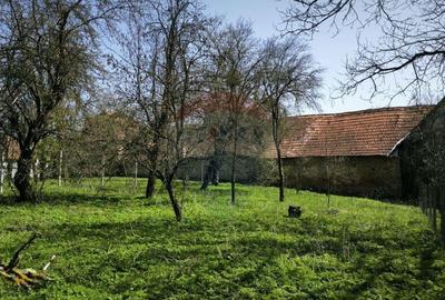 Casa tradi?ionala de vanzare in ?omartin-Sibiuid... Casa tradi?ionala de vanzare in ?omartin-Sibiuid... - 6