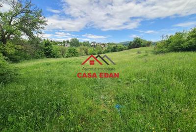 Teren intravilan de 4355 mp, în Câmpina - 5