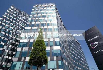 Orhideea Towers Subinchiriere, Grozavesti, 1230 mp 0% comision! - 6