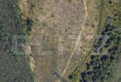 Teren intravilan industrial, 14458mp, centura de Est - 6