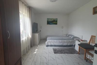 Casă individuală cu 2 camere cu Teren 5000 Mp în Nord - 3