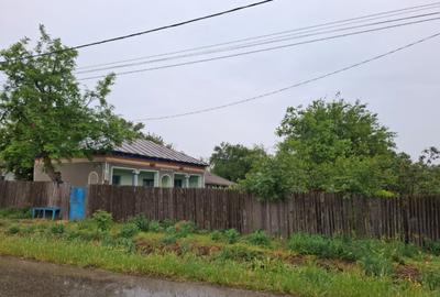 Casa in Sat Segarcea Deal jud. Teleorman - 5