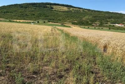 Teren de 2000 mp, în Șoimuș - 1