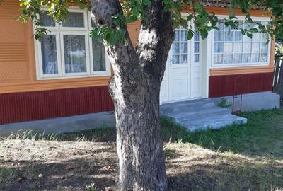 Casă cu 3 camere în Giurgeni - 3