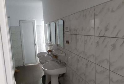 Spațiu comercial, de 20,000 mp, în Timișoara - 12