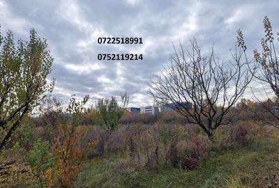 Teren în Băneasa - 6