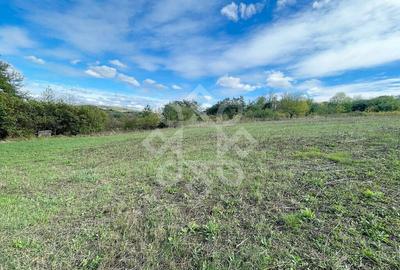 Teren intravilan 5995 mp in Hidiselu de Sus - 1