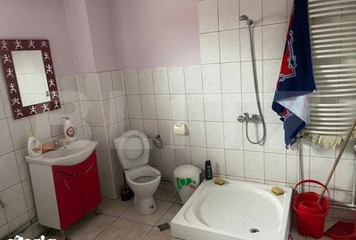 Spațiu comercial, de 382 mp, în Elisabetin - 1