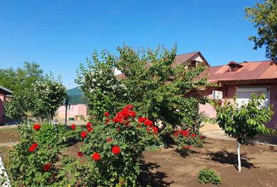 Casă cu 6 camere în Independența - 9