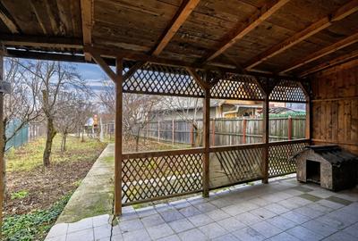 Doua case in aceeasi curte Pitesti, Strada Turcesti - 11