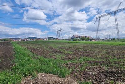 Teren agricol intravilan de 1783 mp, în Sânpetru - 2