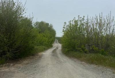 Teren de 46000 mp, în Central - 3